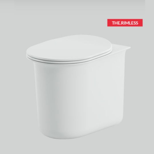 Напольный безободковый унитаз Artceram Chic, Grossy white (CHV002 01;00) Напольные 