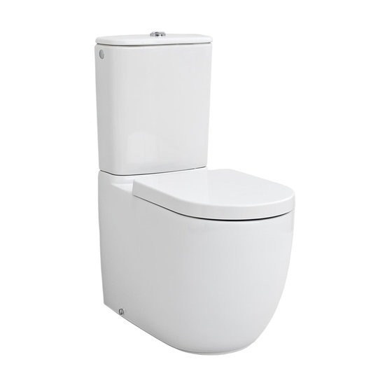 Чаша унитаза-компакта ArtCeram File 2.0, Matte white (FLV003 05;00) Напольные Без бачка (отдельно)