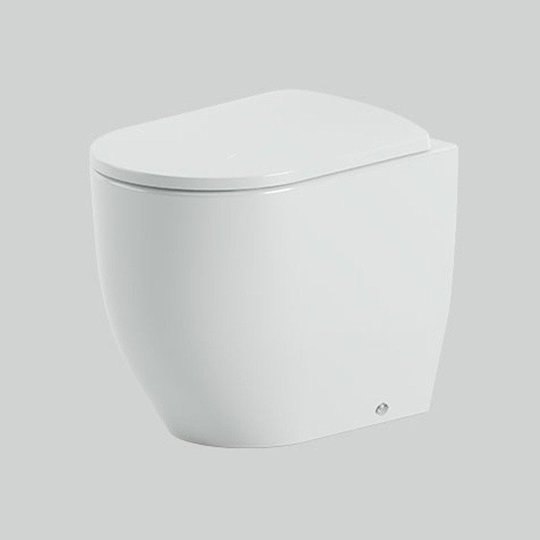 Напольный безободковый унитаз ArtCeram Monet, Matte white (MNV002 05;00) Напольные 