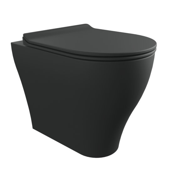 Напольный безободковый унитаз Flaminia App Plus Goclean, с сиденьем Slim Soft Close, Carbone (AP117RGCAR+QKCW09CAR) Напольные 