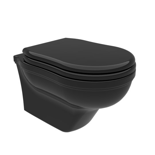 Підвісний унітаз Flaminia Efi, з сидінням Slim Soft Close, Black (EF118NER+23/CRNER) Підвісні 