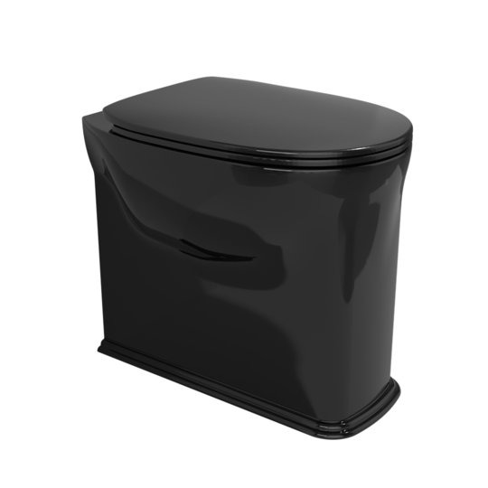 Напольный унитаз Flaminia Madre Goclean, с сиденьем Soft Close, Black (MA117GNER+MACW05NER) Напольные 