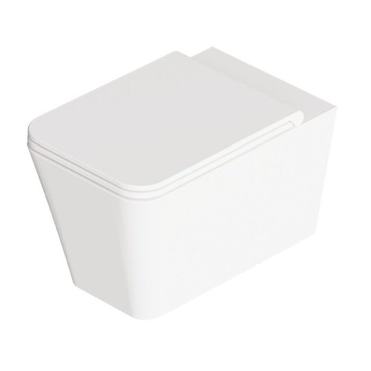 Унитаз подвесной безободковый Alice Ceramica Hide Square, с сиденьем Soft Close, White matt (31210109 FI+MC3109SQS) Подвесные 