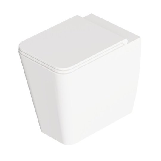 Унитаз напольный безободковый Alice Ceramica Hide Square, с сиденьем Soft Close, White matt (31190109 FT+MC3109SQS) Напольные 