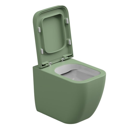 Унитаз напольный безободковый GSG Brio, с сиденьем Soft Close, Bicolore salvia satinato (BRWC01 BI 000 031+ACS51+BRCOPRSLTICR 031) Напольные 