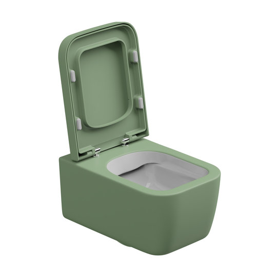 Унитаз подвесной безободковый GSG Brio, с сиденьем Soft Close, Bicolore salvia satinato (BRWCSO BI 000 031+ACS40+BRCOPRSLTICR 031) Подвесные 
