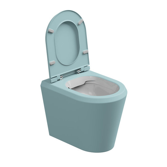 Унитаз напольный безободковый GSG Cruise, с сиденьем Soft Close, Bicolore ice satinato (CRWC01 BI 000 037+ACS51+CRCOPRSLTICRCN 037) Напольные 