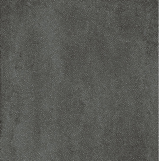 Плитка Lea Ceramiche Slimtech Concreto Varianti Concreto Dark Reef Nat 120*120 (LS8CNR0) Lea Ceramiche Для кухни, Для общественных помещений, Для жилых помещений, Для ванной
