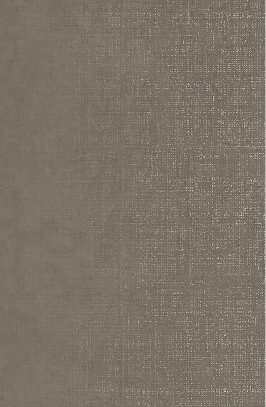 Плитка Lea Ceramiche Slimtech Take Care Care Ground 50 * 100 (LS9TCC0) Lea Ceramiche Для кухні, Для громадських приміщень, Для житлових приміщень, Для ванної
