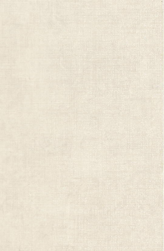 Плитка Lea Ceramiche Slimtech Take Care Care Snow 50*100 (LS9TCC8) Lea Ceramiche Для кухни, Для общественных помещений, Для жилых помещений, Для ванной